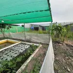 Bán nhà vườn 1000m2 Đức Huệ Long An, 1 tỷ 590 - Ảnh thu nhỏ 3