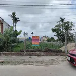 Bán đất Nam Thịnh Nam Cường, Thái Bình. Ô tô tránh, kinh doanh. Nhỉnh 1 tỷ. - Ảnh thu nhỏ 1