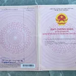 499tr - Quá đẹp - Kế bên 2 trường học Phước Hòa 5x35m full thổ cư - Ảnh thu nhỏ 22