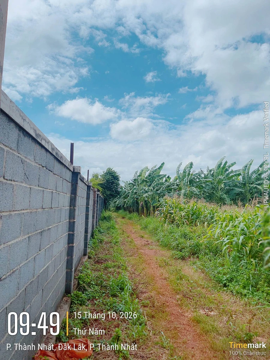 Bán đất Khánh Xuân 700m2 có 52m2 thổ cư, gần vườn rau Victory - Ảnh thu nhỏ 4