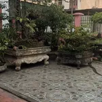 Bán biệt thự 4PN Vĩnh Lưu Đông Hải Hải Phòng 218m2 - Ảnh thu nhỏ 1