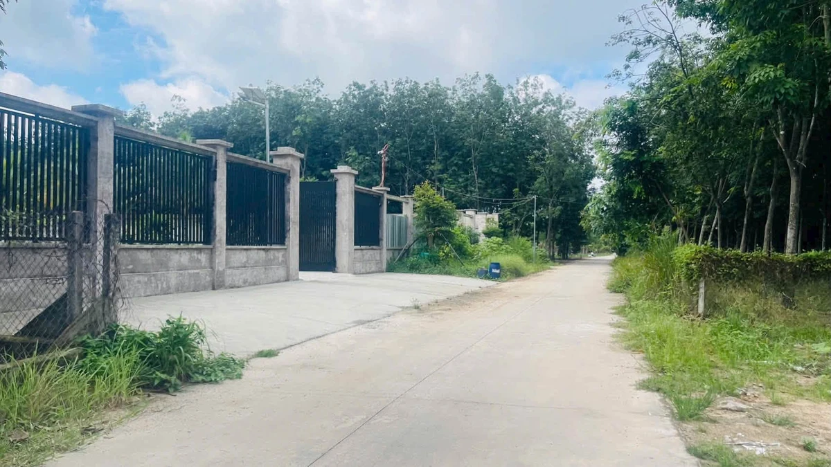 Bán đất thổ cư 110m2 (5x22) Chánh Phú Hòa, Bến Cát, giá 1,15 tỷ - Ảnh thu nhỏ 2