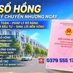 Bán đất mặt tiền đường D1, Phường Thuận Giao 100m² - Ảnh thu nhỏ 3