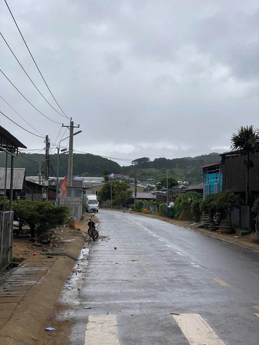 Bán đất vườn lan 1200m2 Hiệp An, Lâm Đồng - Ảnh thu nhỏ 2