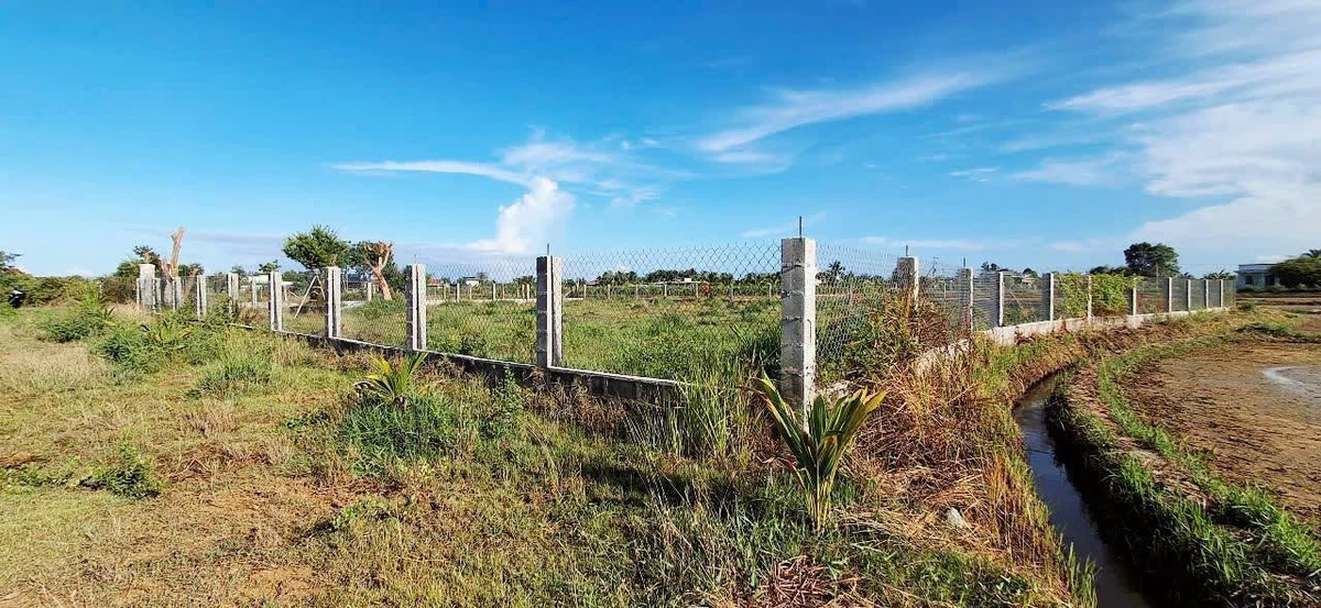 Bán đất 1250m² xây dựng hoàn toàn, cách Phan Thiết 4km - Ảnh thu nhỏ 4