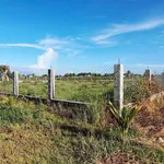 Bán đất 1250m² xây dựng hoàn toàn, cách Phan Thiết 4km - Ảnh thu nhỏ 4