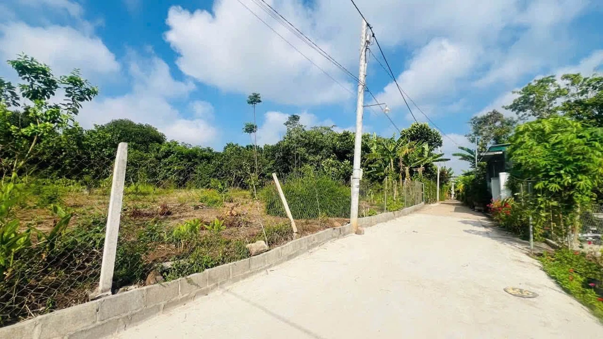 Bán đất thổ cư gần cổng chào Bảo Vinh, Long Khánh Đồng Nai - Ảnh thu nhỏ 3