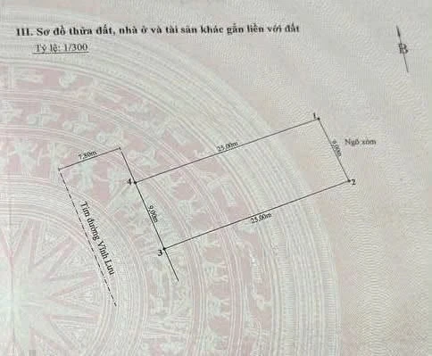 Bán biệt thự 230m2, 3,5 tầng, Lê Hồng Phong, Hải Phòng - Ảnh thu nhỏ 3