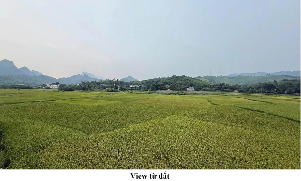 Bán đất 983m² (850m² đất ở) Kim Bôi, giá hơn 1 tỷ - Ảnh thu nhỏ 3