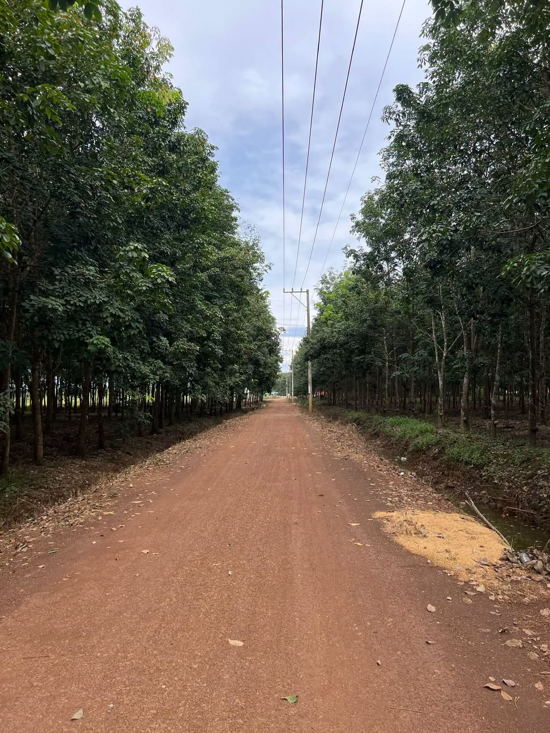 Bán đất 11ha mặt tiền sỏi đỏ Chơn Thành