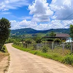Bán 2 lô đất 125m² tại Lâm Hà, giá 479 triệu/lô - Ảnh thu nhỏ 3