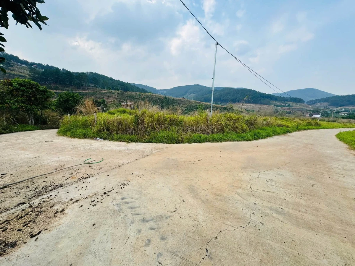 Bán đất 929m2 xã Nam Ban Lâm Hà 1.15 tỷ - Ảnh 1