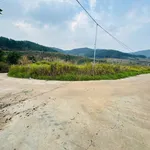 Bán đất 929m2 xã Nam Ban Lâm Hà 1.15 tỷ - Ảnh thu nhỏ 1