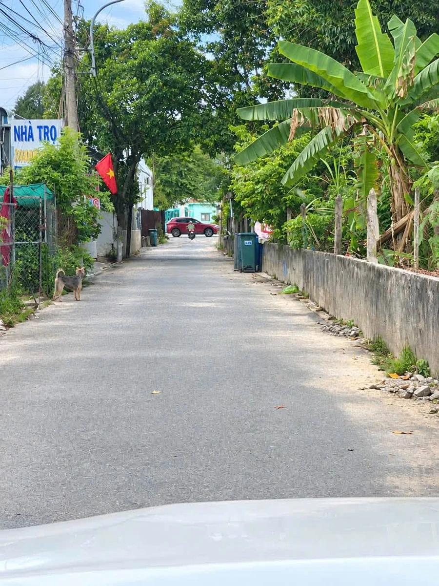 Bán nhà mặt tiền Thanh Bình, Bình Tân, 10×29m, 2,79 tỷ - Ảnh thu nhỏ 2