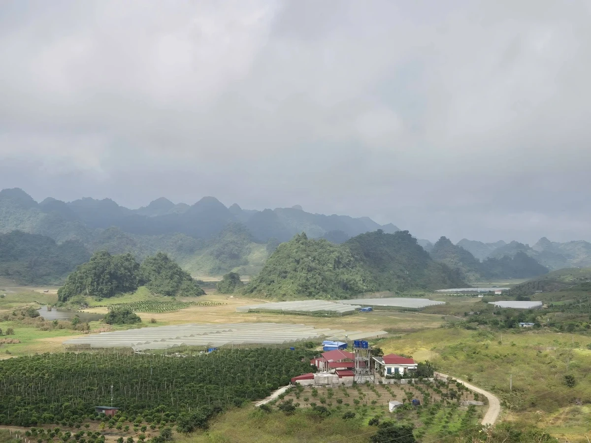 Bán đất Tân Yên Sơn La 50000m² giá 11 tỷ view đẹp - Ảnh thu nhỏ 2