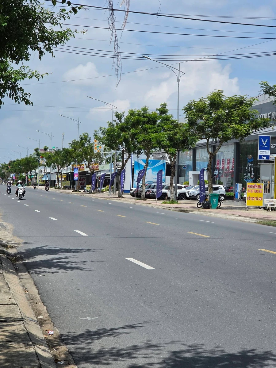 Bán đất mặt tiền Quốc lộ 50, Sơn Qui, Tiền Giang, 210m² - Ảnh thu nhỏ 4