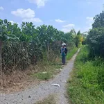 Bán đất Long Thới Chợ Lách 2.700m² giá 463 tr/công - Ảnh thu nhỏ 2