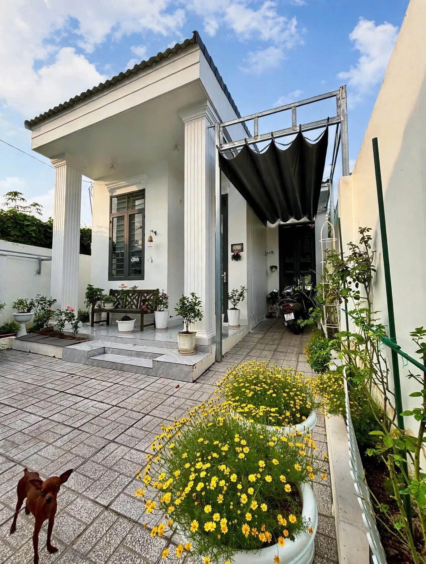 Bán biệt thự mini Châu Đốc, 307.5 m², 2.6 tỷ - Ảnh 1