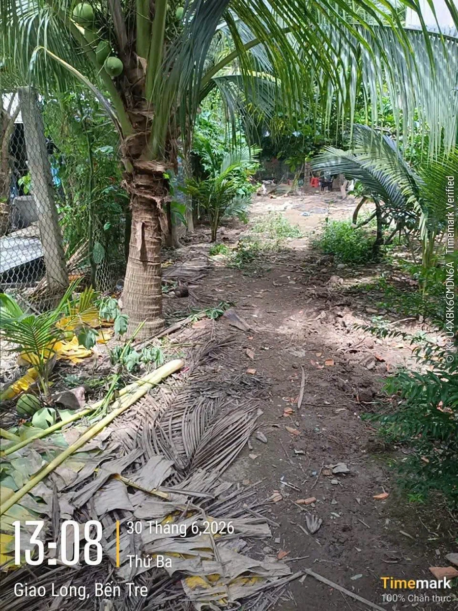 Bán đất 2000m2 với 300m2 thổ cư gần Cần Giờ - Ảnh thu nhỏ 4