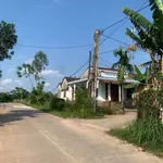 Bán đất lô góc 2 mặt tiền 243.6m² Nghĩa Thuận Nhà Bè - Ảnh thu nhỏ 3