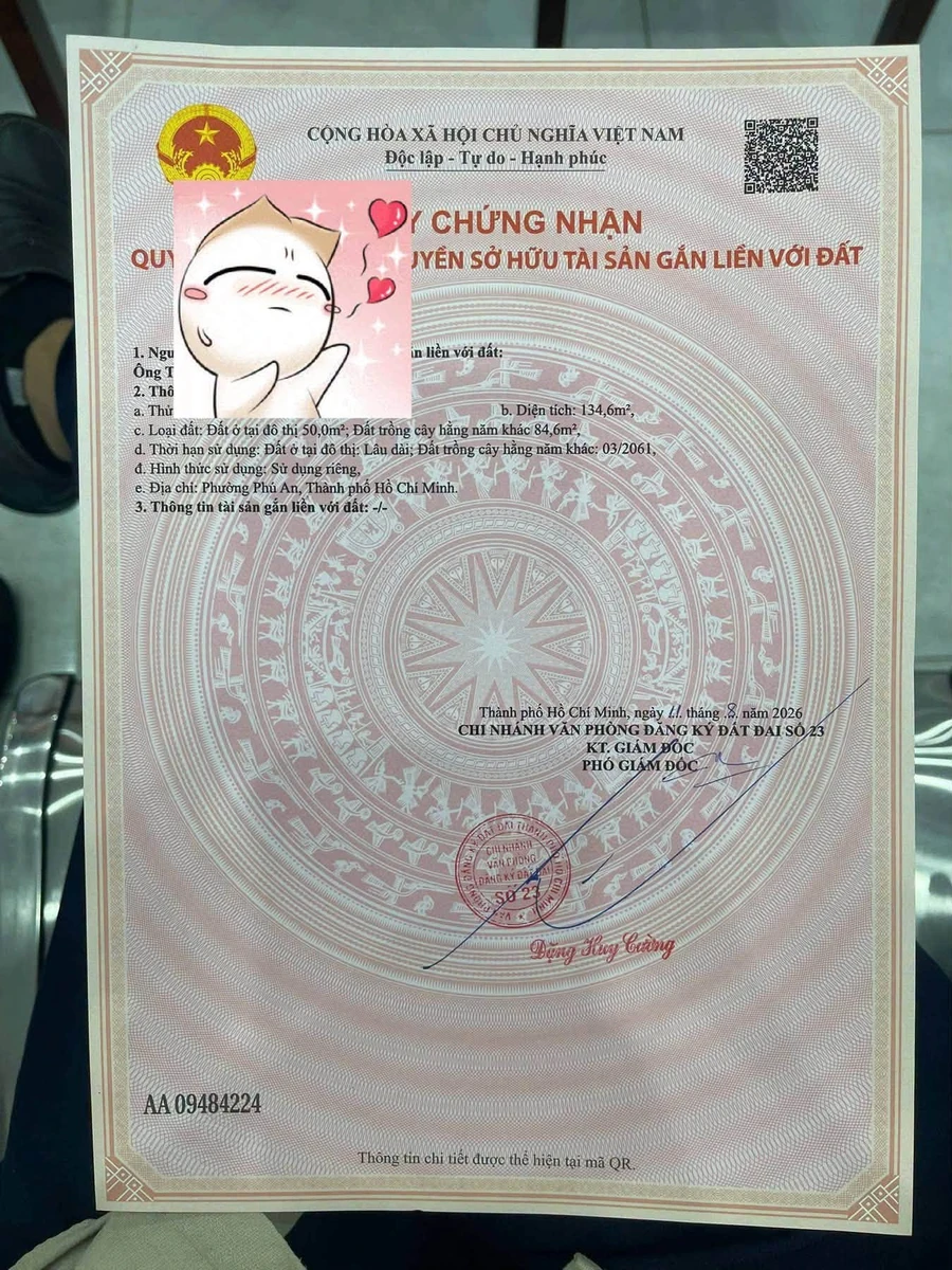Bán đất 4,7x30m phường Phú An (Tân An cũ), ô tô tới đất, giá 1,25 tỷ - Ảnh thu nhỏ 5