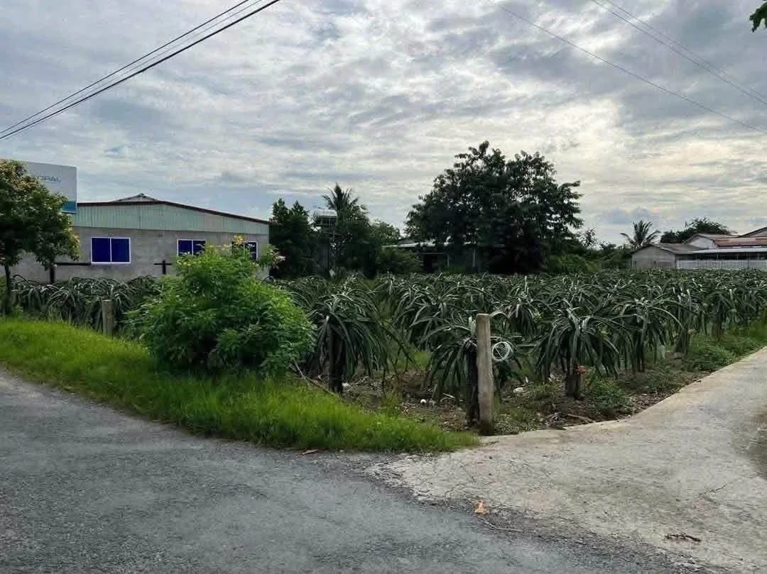 Bán 1400m2 đất 2 mặt tiền đường 30/4 tại Phước Tân Hưng, Châu Thành, Long An - Ảnh thu nhỏ 4