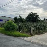 Bán 1400m2 đất 2 mặt tiền đường 30/4 tại Phước Tân Hưng, Châu Thành, Long An - Ảnh thu nhỏ 4