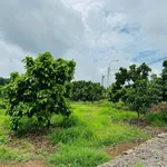 Bán đất 8000m² mặt tiền Tín Nghĩa, Bình Lộc, Đồng Nai - Ảnh thu nhỏ 2
