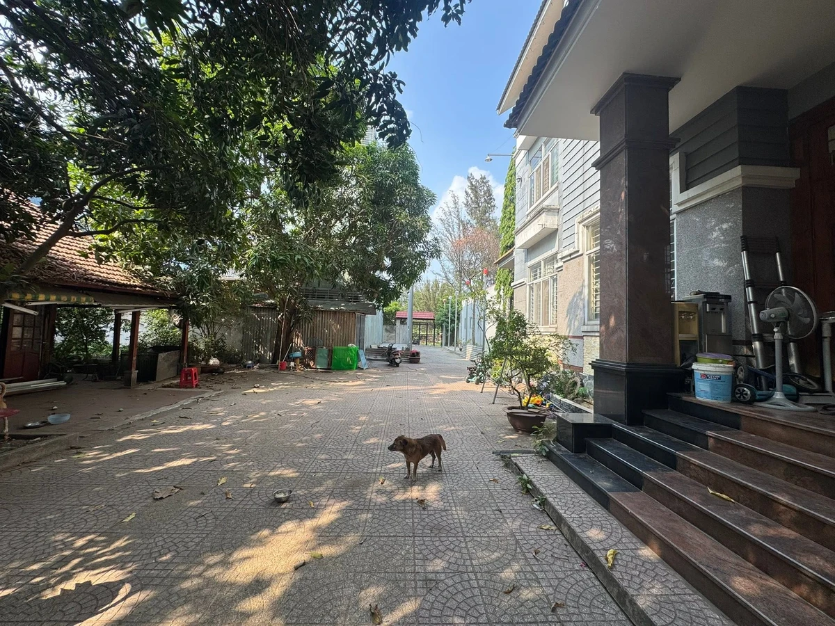 Bán biệt thự 886m2 Sông Hiệp Bình Chánh - Ảnh thu nhỏ 3