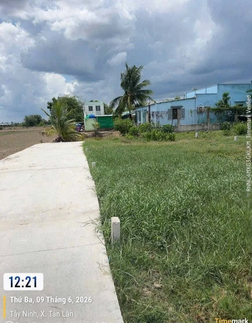 Bán đất thổ cư 100m2 giá 320 triệu tại Ấp 6, Phước Đông, Tân Lân, Tây Ninh - Ảnh thu nhỏ 3