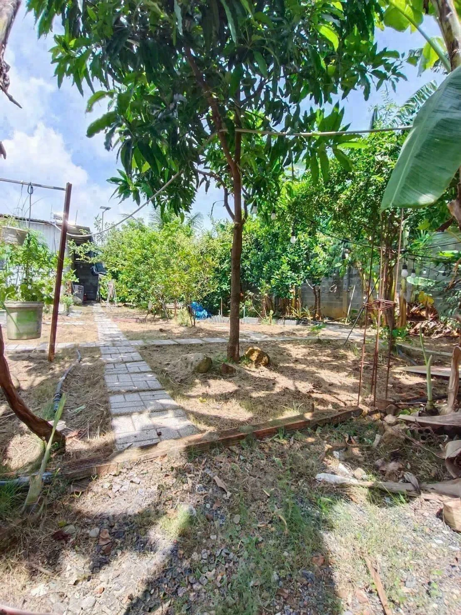 Bán nhà vườn 620m² Phường Bửu Long Thủ Đức - Ảnh thu nhỏ 3