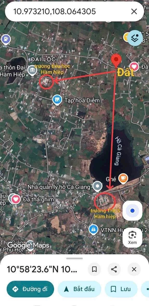 Bán đất vườn 732m² Hàm Hiệp, Bình Thuận 750 triệu - Ảnh thu nhỏ 4