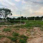 Bán 1000m² đất thôn Hàm Liêm, Phan Thiết 550 triệu - Ảnh thu nhỏ 2