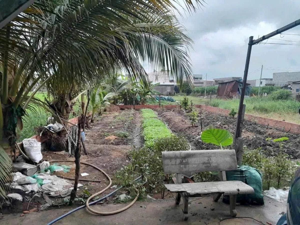 Bán lô đất xây nhà 202m² Bình Tân 1 tỷ 900 - Ảnh 1
