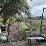 Bán lô đất xây nhà 202m² Bình Tân 1 tỷ 900 - Ảnh thu nhỏ 1