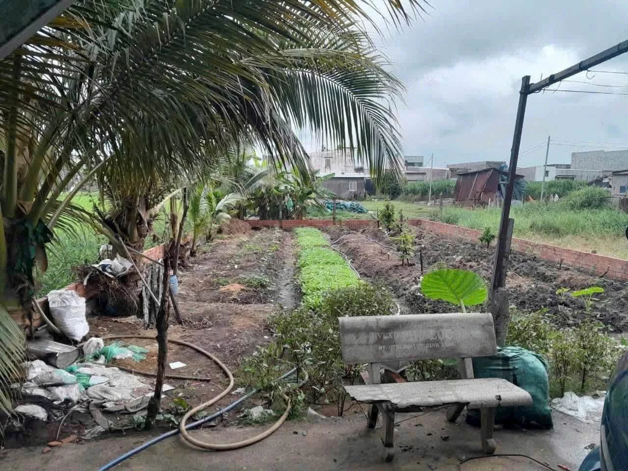 Bán lô đất xây nhà 202m² Bình Tân 1 tỷ 900 - Ảnh 1