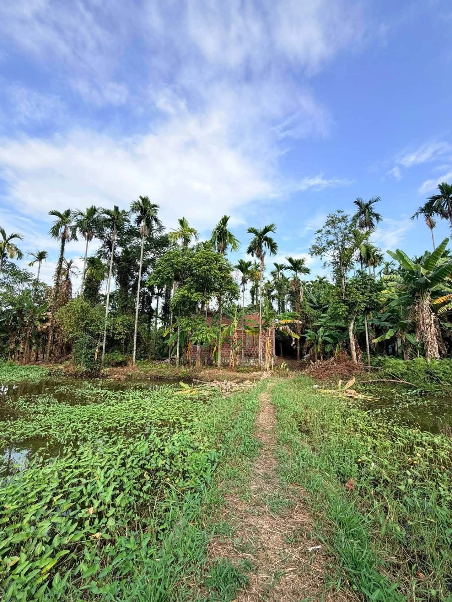 Bán 2500 m² đất 3 đường thông Hoa Động, Hải Phòng - Ảnh 1