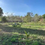 Bán 3.208m đất TMDV trung tâm Ninh Hòa vị trí đẹp, giá 6,5 triệu/m - Ảnh thu nhỏ 24