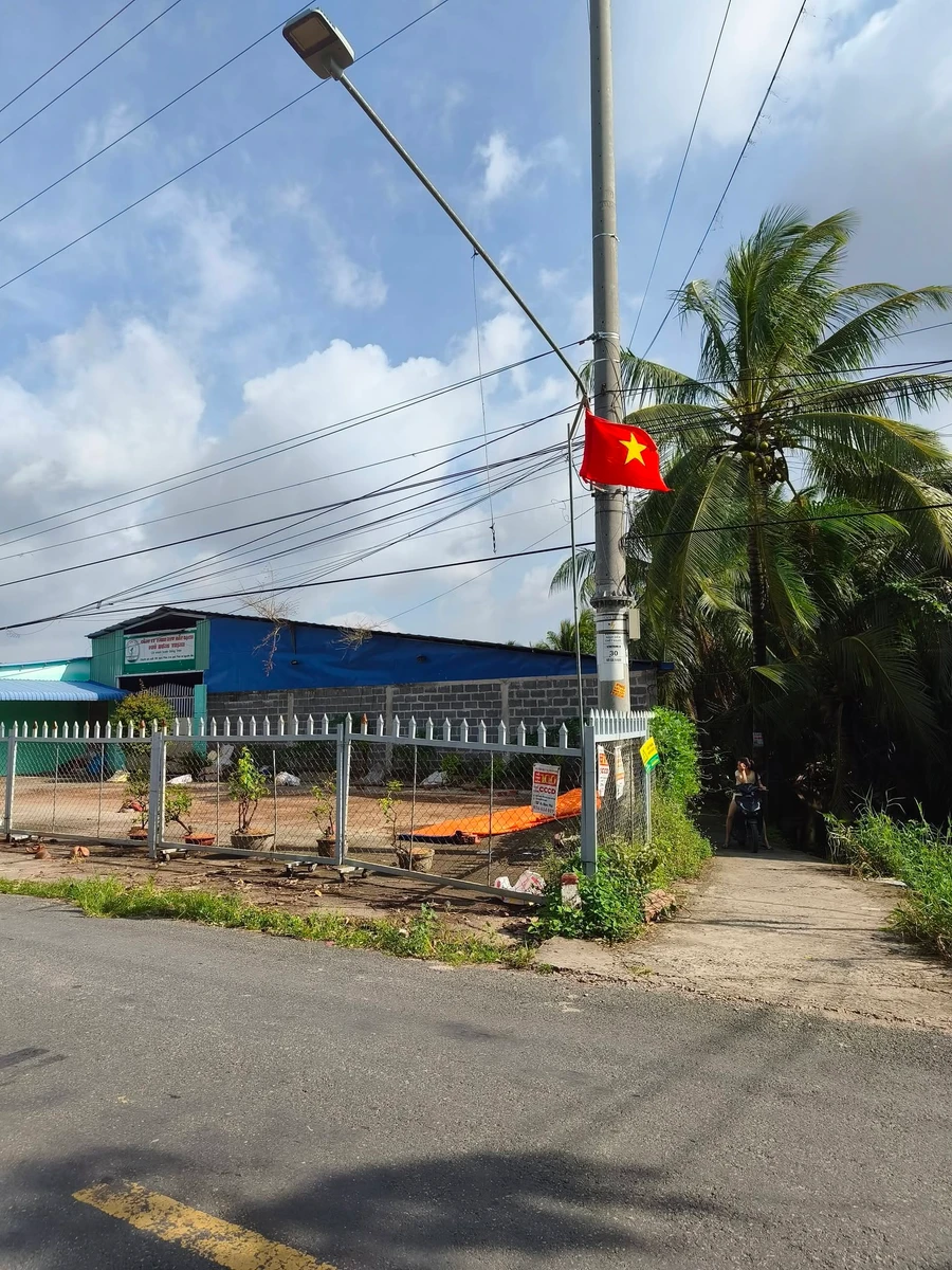Bán đất vườn dừa Giồng Trôm 1.605m² - 590 triệu - Ảnh thu nhỏ 3