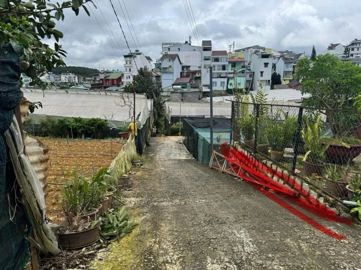 Bán đất Bạch Đằng, Đà Lạt, 249m² - Ảnh thu nhỏ 2
