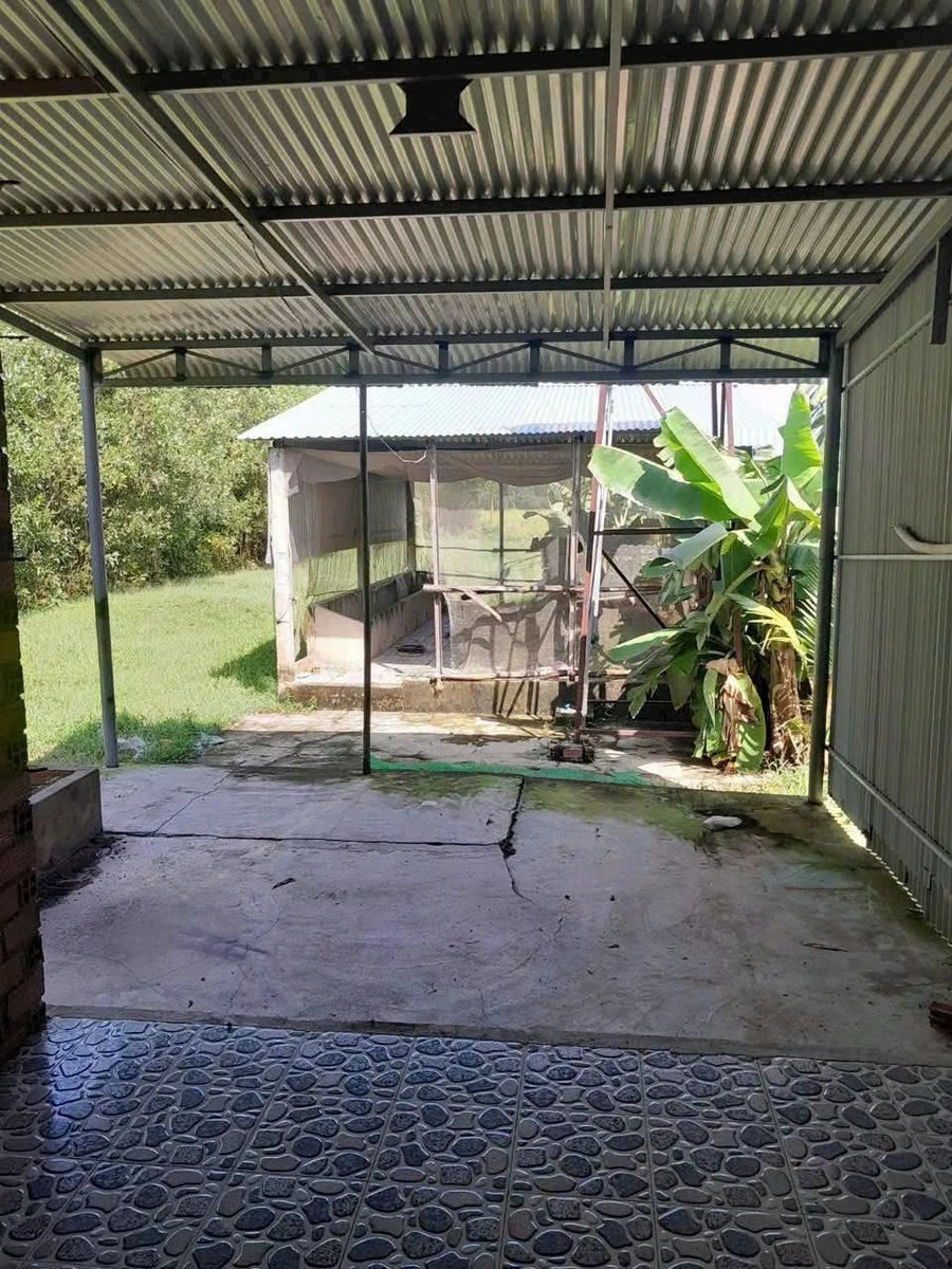 Bán nhà mặt tiền 515m² Châu Thành, Tây Ninh, giá 450 triệu - Ảnh thu nhỏ 4