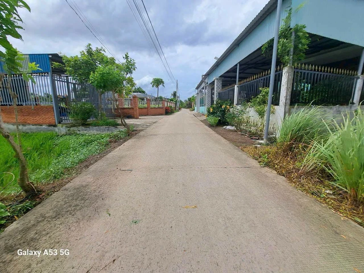 Bán đất lúa 1134 m² Bến Lức Tây Ninh - Ảnh thu nhỏ 2