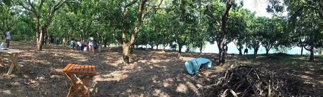 Bán đất vườn 3,3 hecta giáp Hồ Trị An, Đồng Nai - Ảnh thu nhỏ 4