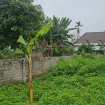 Đất giữa thị trấn Kép, Lạng Giang. 638m2 - Full thổ cư. Giá 3,5 tỷ - Ảnh thu nhỏ 4