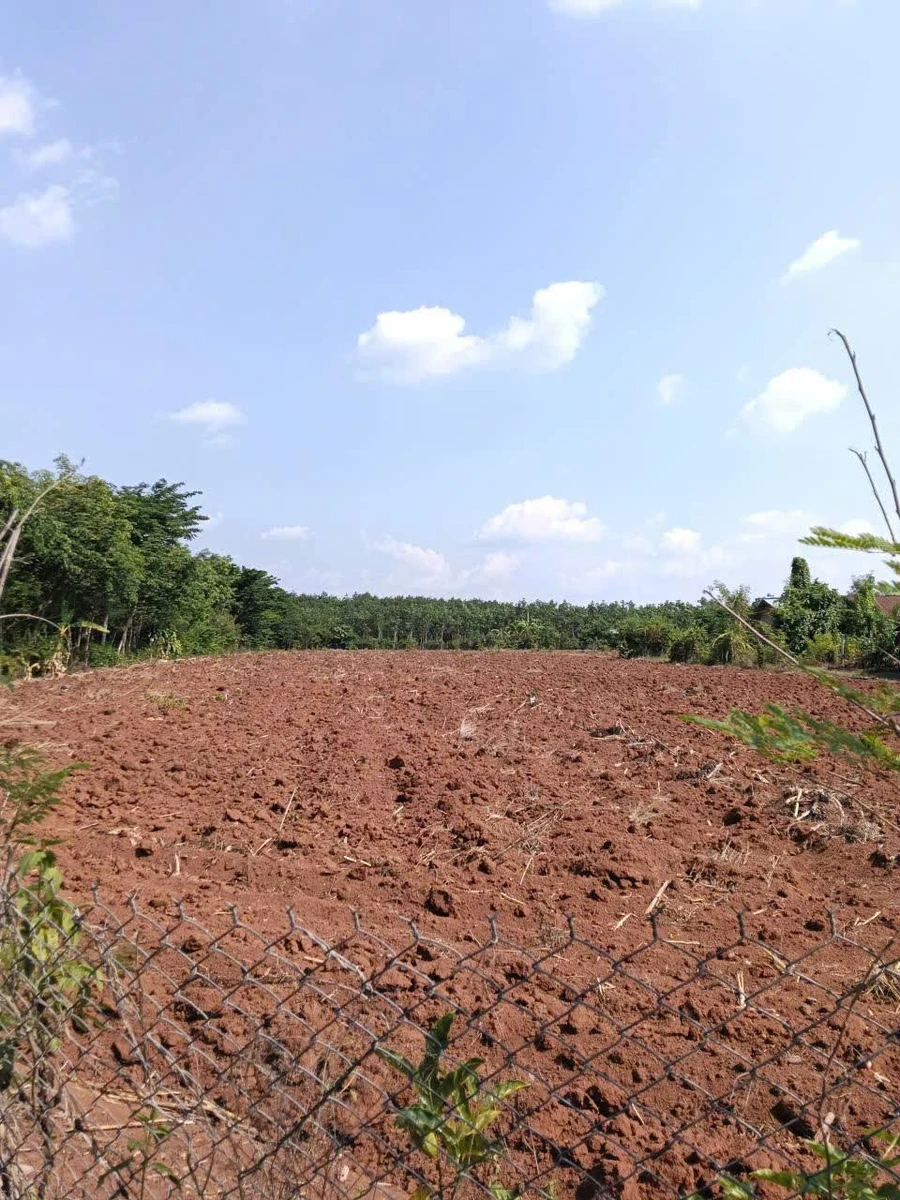Bán đất 1.47ha Bù Đốp, Bình Phước, 2.6 tỷ - Ảnh thu nhỏ 3