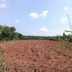 Bán đất 1.47ha Bù Đốp, Bình Phước, 2.6 tỷ - Ảnh thu nhỏ 3