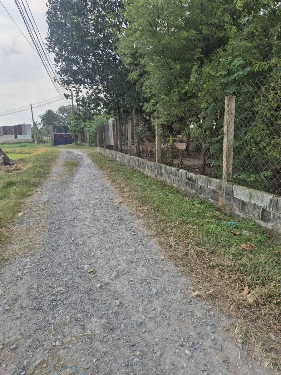Bán đất Đức Lập, Đức Hòa, Long An 1164m2 - Ảnh thu nhỏ 2