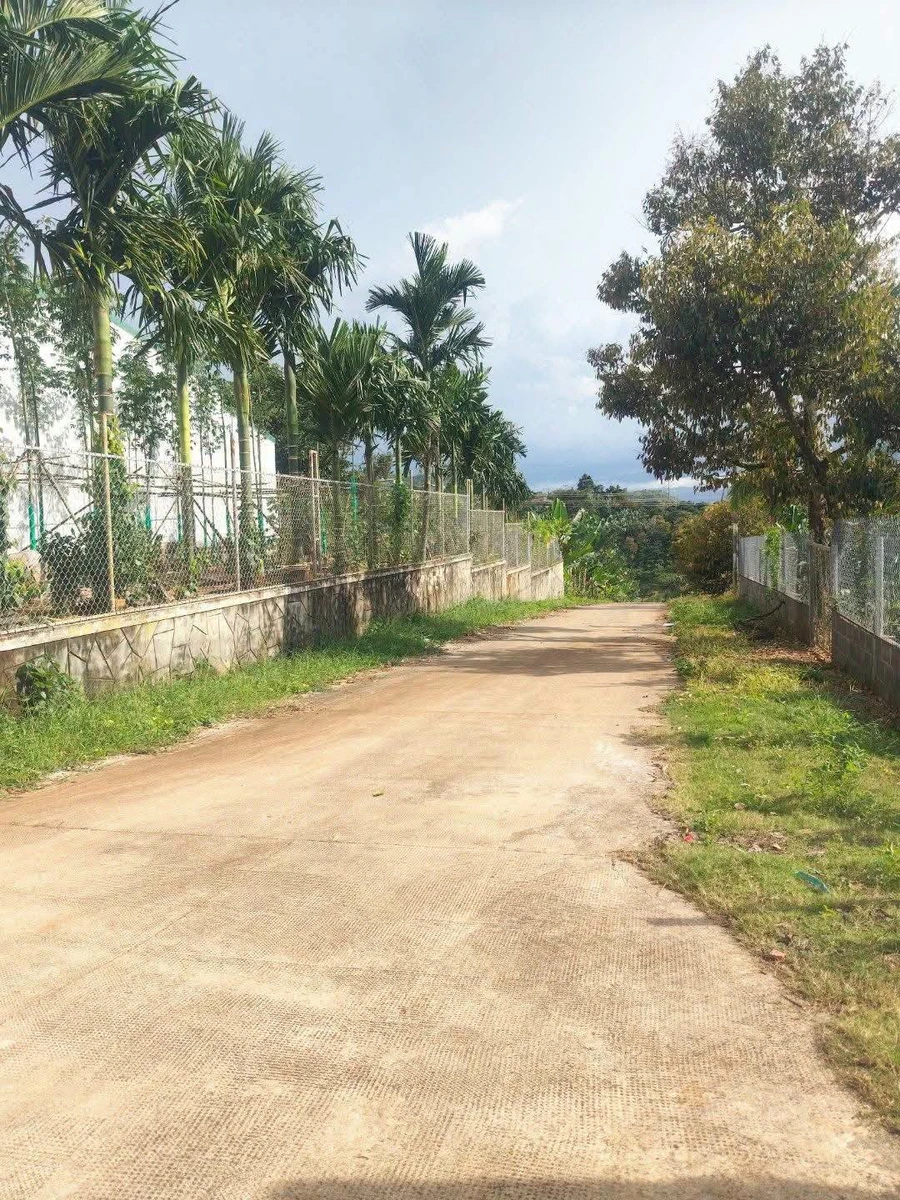 Bán đất nền 50m² Hóc Môn, giá 500 triệu - Ảnh thu nhỏ 3