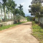 Bán đất nền 50m² Hóc Môn, giá 500 triệu - Ảnh thu nhỏ 3