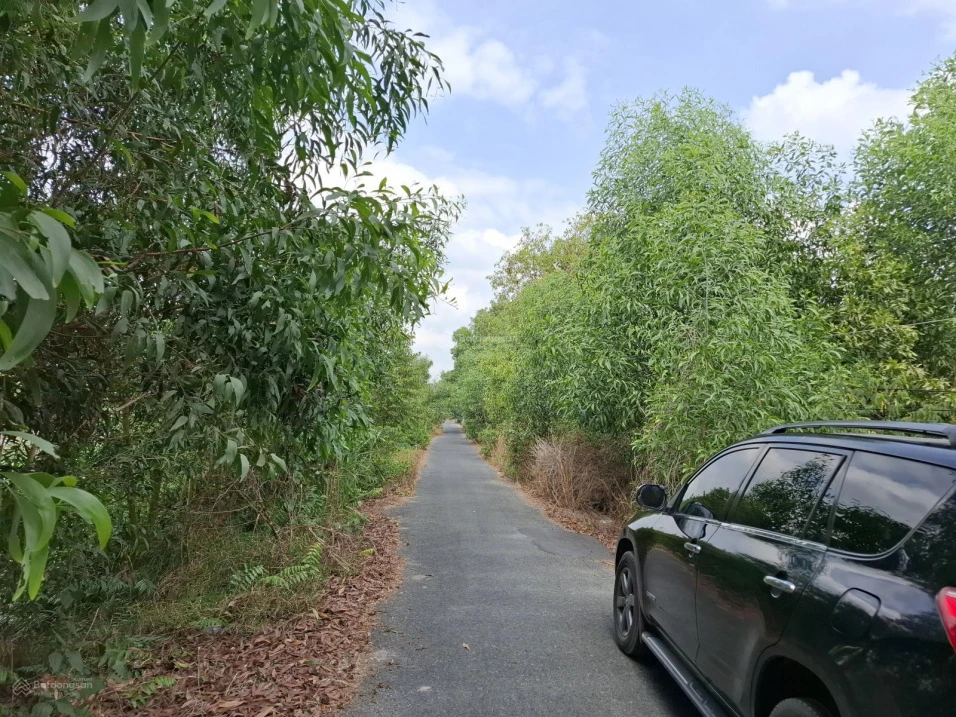 Bán đất tại Xã Tân Lập 1, Huyện Tân Phước, Tiền Giang, 6,9 tỷ, 7000 m2 hàng hiếm giá tốt - Ảnh thu nhỏ 4